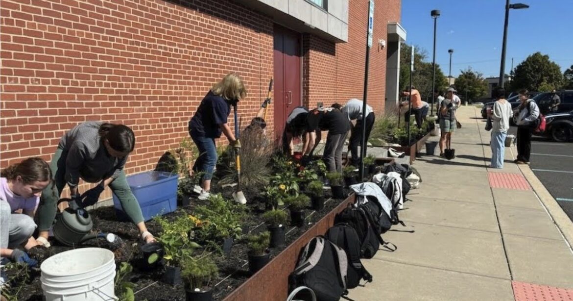 PA Environment Digest Blog: Native Garden At Wissahickon High School, Montgomery County Thrives Thanks To Work Of Master Watershed Steward Erin Crump PA Environment Digest Blog: Native Garden At Wissahickon High School, Montgomery County Thrives Thanks To Work Of Master Watershed Steward Erin Crump