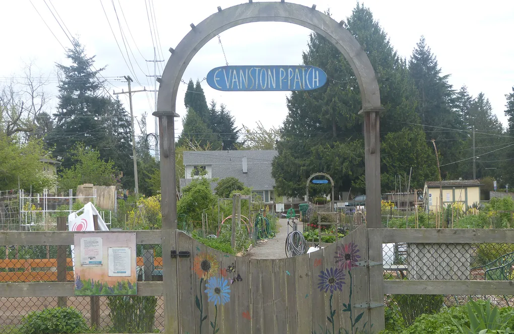 A painted wooden gate welcomes gardeners to the Evanston P-Patch. (Marc Freeman / Special to At Home in the Northwest)