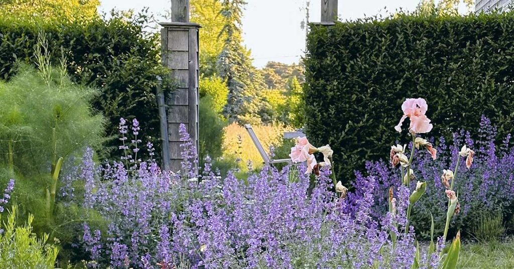 Gravel Gardens Are Popping Up Everywhere—Here’s How to Plant One Properly Gravel Gardens Are Popping Up Everywhere—Here's How to Plant One Properly