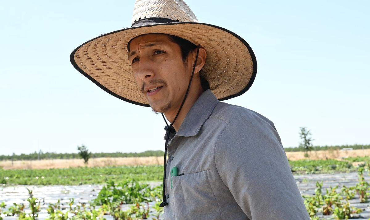 Aaron De La Cerda talks about the small farmers growing produce at the Yo'Ville Community Garden and Farm, Thursday, April 16, 2026 in west Fresno.