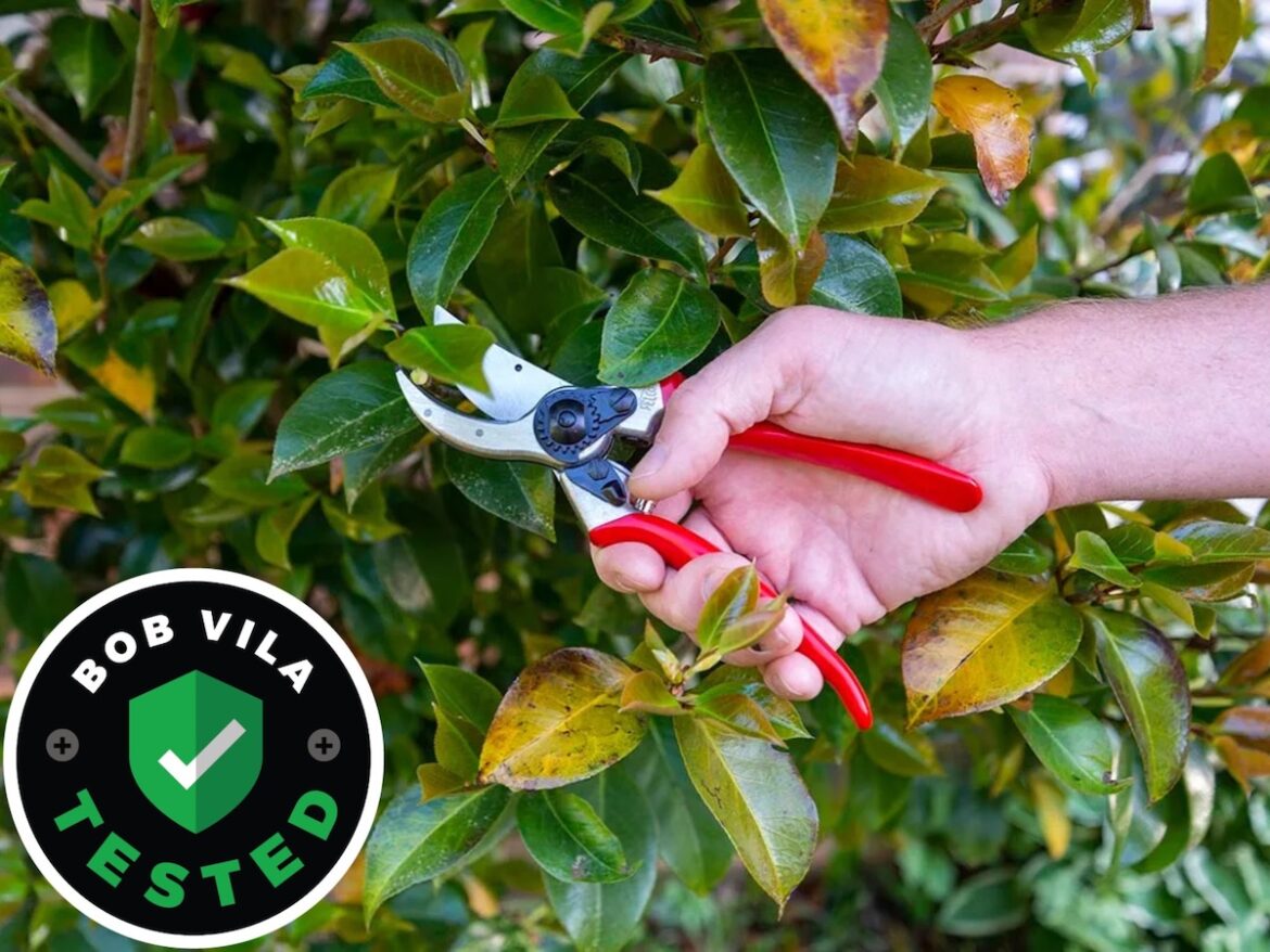 Reviewing the Best Pruning Shear of 2026 Reviewing the Best Pruning Shear of 2026