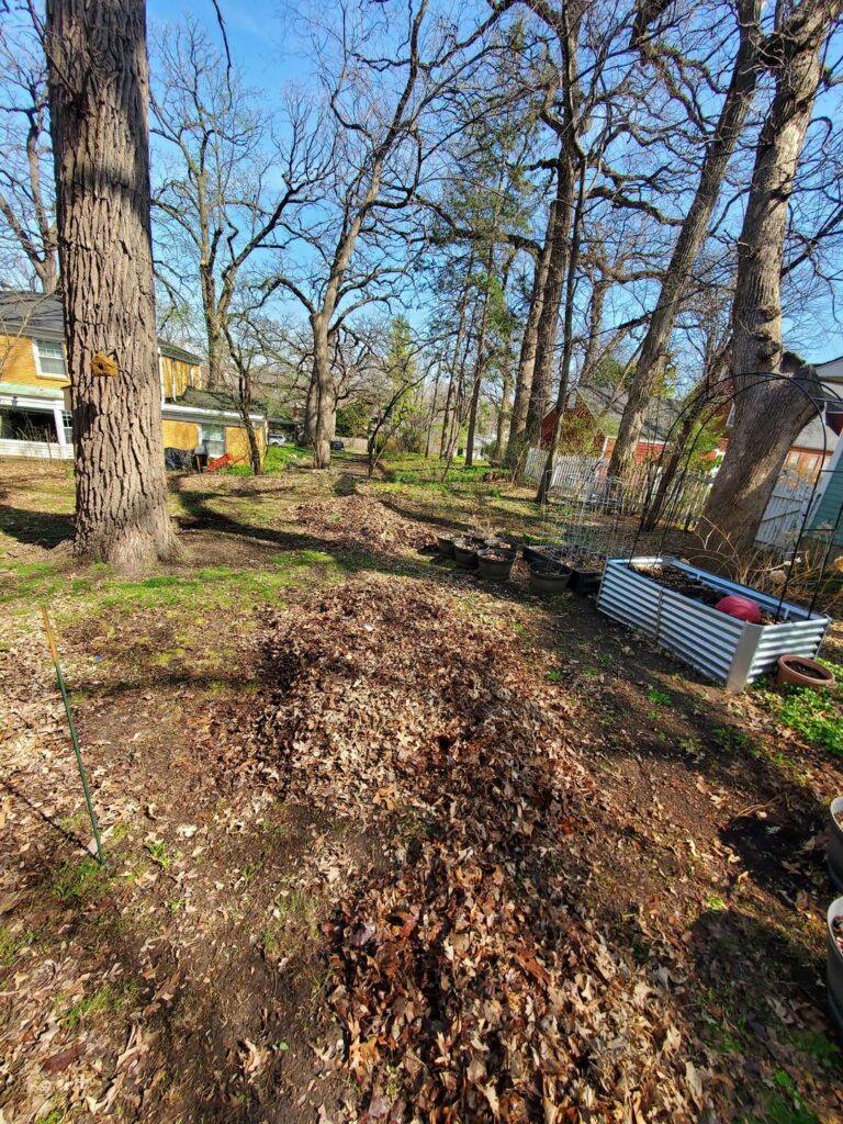 Finally have my own yard and decided to make the most out of it! Finally have my own yard and decided to make the most out of it!
