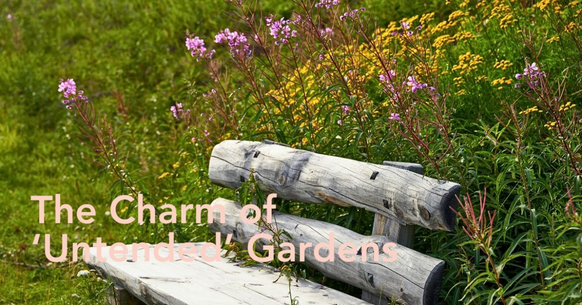 Which Flowers Give Your Garden a Wild Look and Aesthetics?