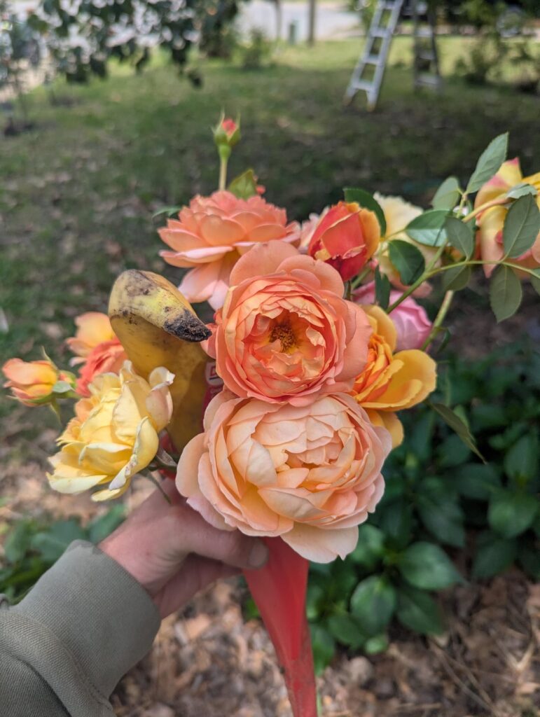 Flowers from my garden for mother's day