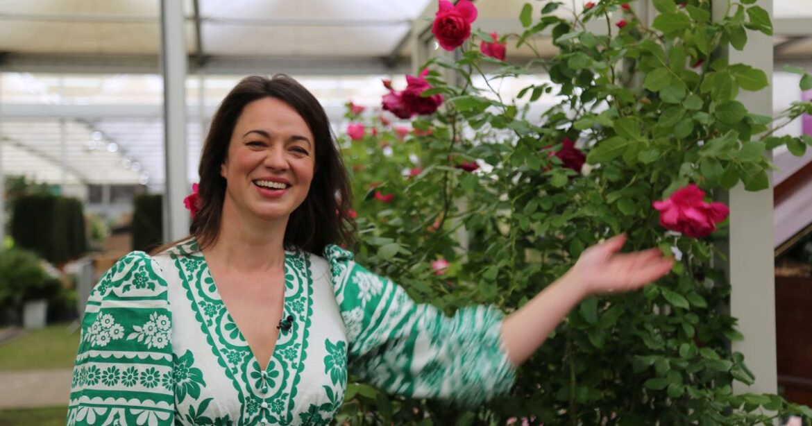 Gardeners’ World host on Chelsea Flower Show and what David Beckham grows Gardeners' World host on Chelsea Flower Show and what David Beckham grows