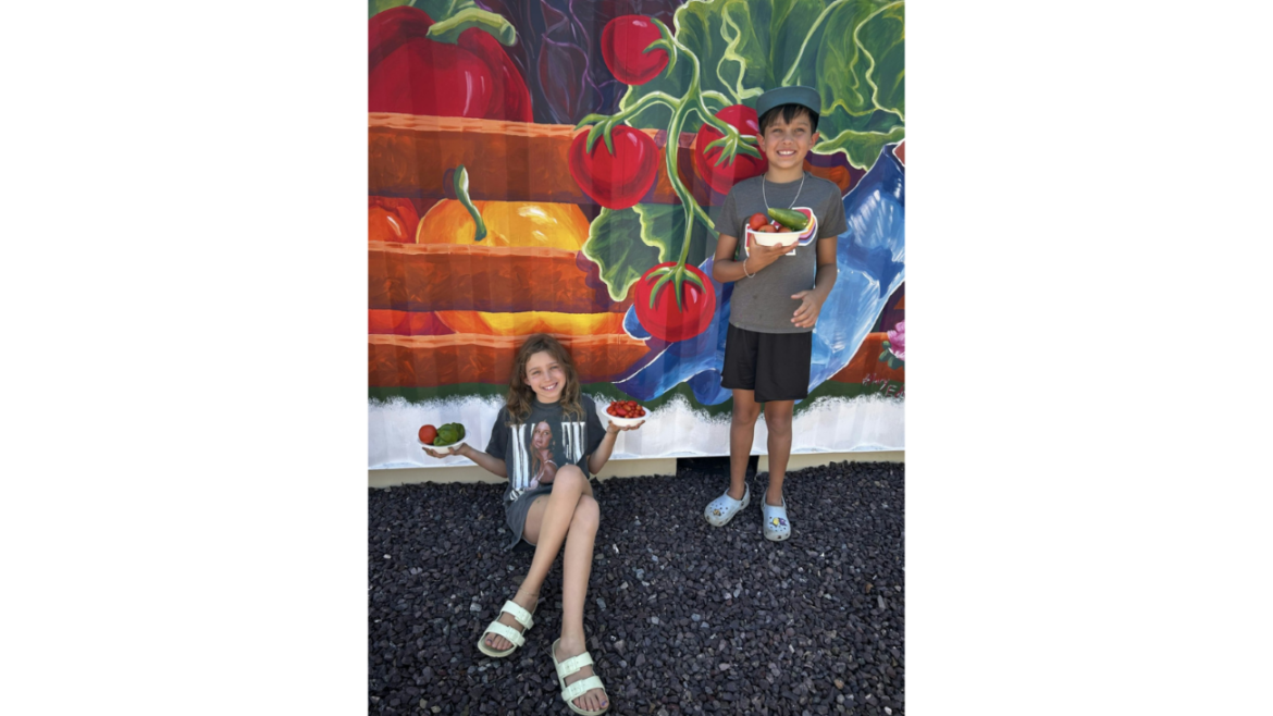 Almanor community garden plot reservations available Almanor community garden plot reservations available