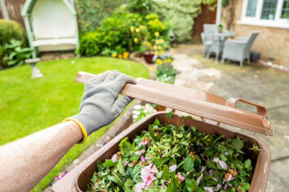 Gardener with a glove opening lid of a brown bin Gardener with a glove opening lid of a brown bin