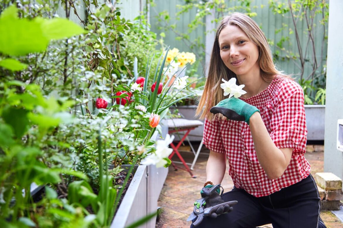 Beginners guide to gardening: Tips for spring from Britain's top garden design experts