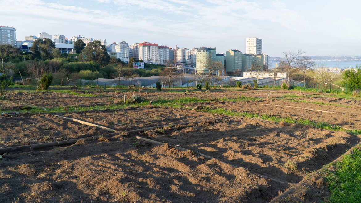 City Farming Could Supply Nearly 30% of Europe’s Fruit and Vegetable Needs City Farming Could Supply Nearly 30% of Europe’s Fruit and Vegetable Needs