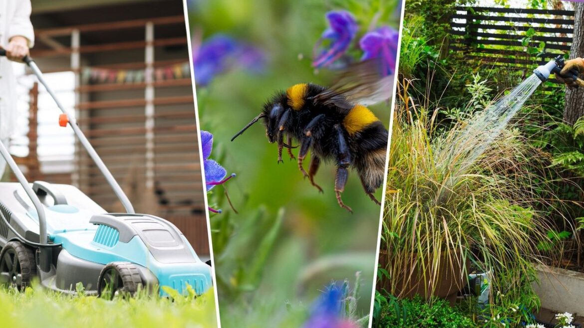 Are you guilty of these 5 gardening habits that starve… Are you guilty of these 5 gardening habits that starve…