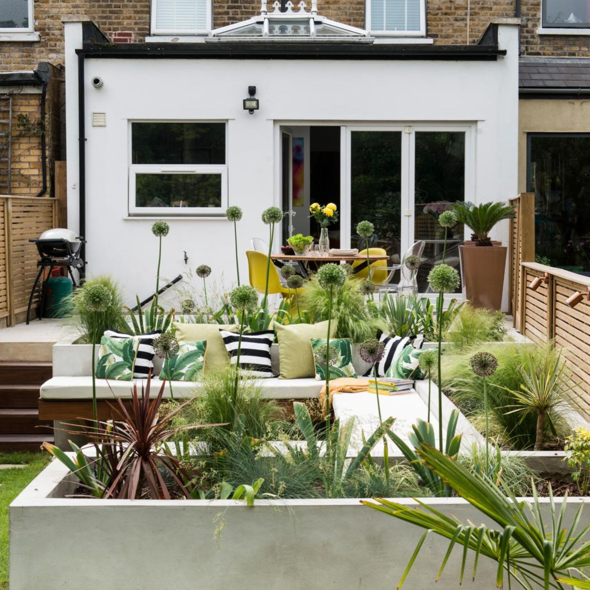 Garden with a raised flowerbed with alliums and grasses, seating area, patio and house in the background.