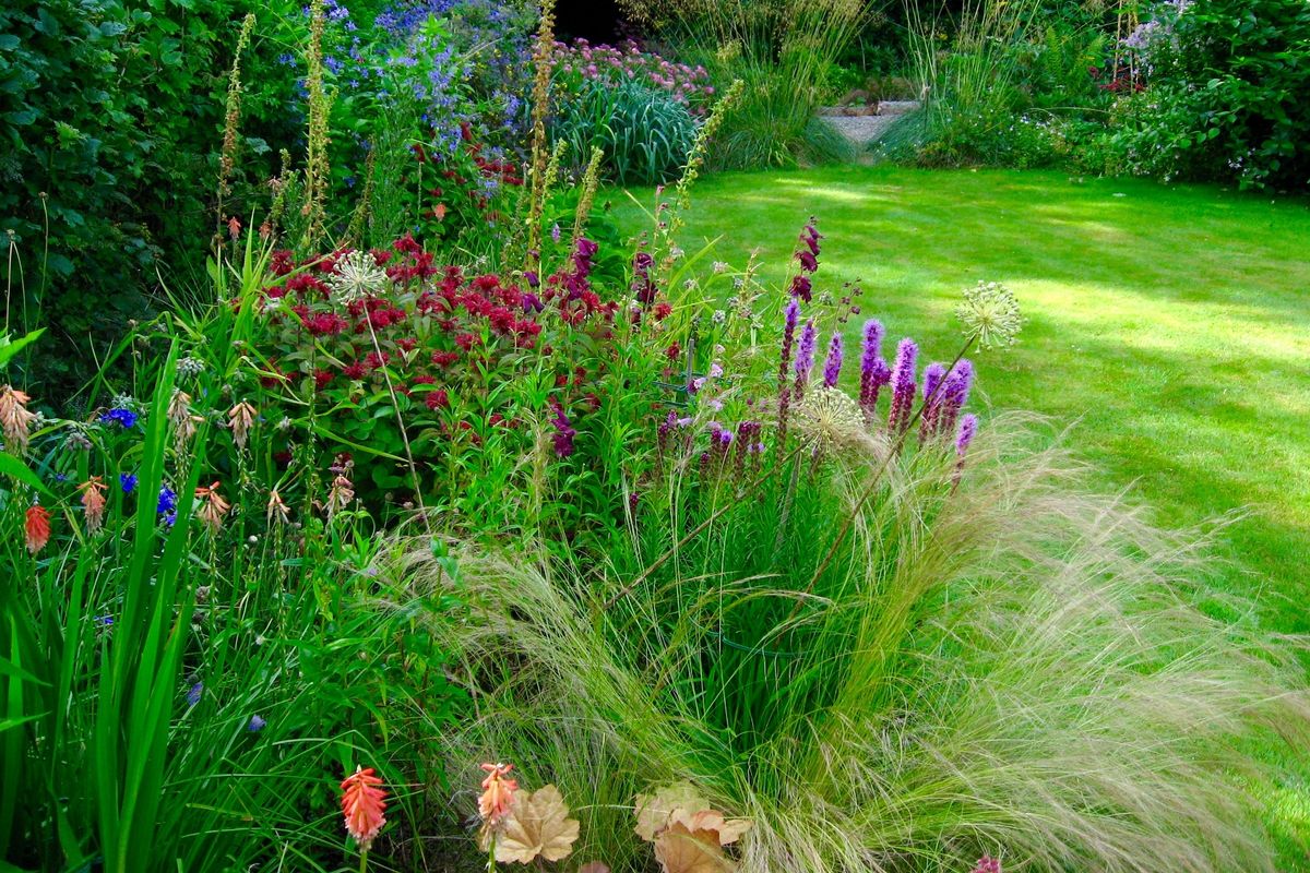 No 2 Ferndene, one of the National Garden Scheme gardens