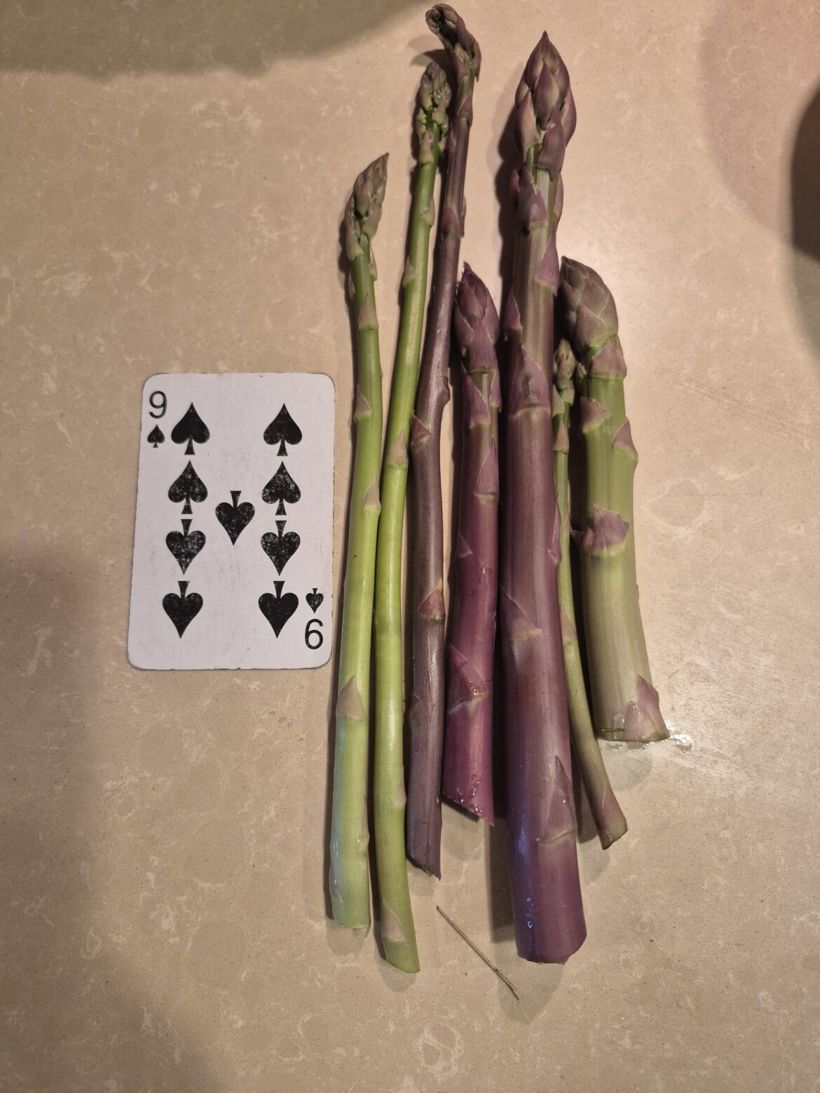 I waited 3 years for this bounty
