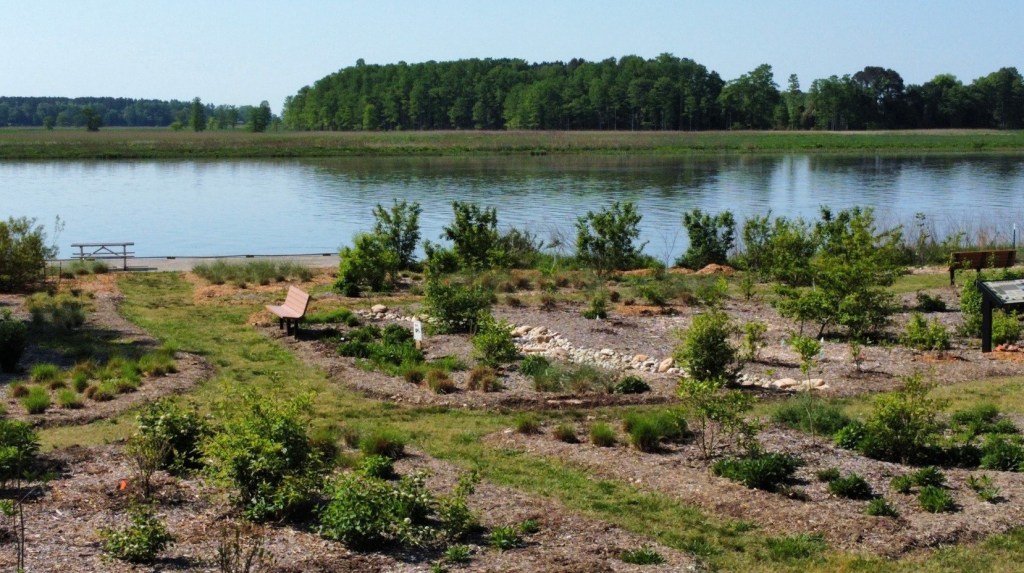 Master gardeners and naturalists who tend garden at Brickyard Landing offer advice – Daily Press Master gardeners and naturalists who tend garden at Brickyard Landing offer advice – Daily Press