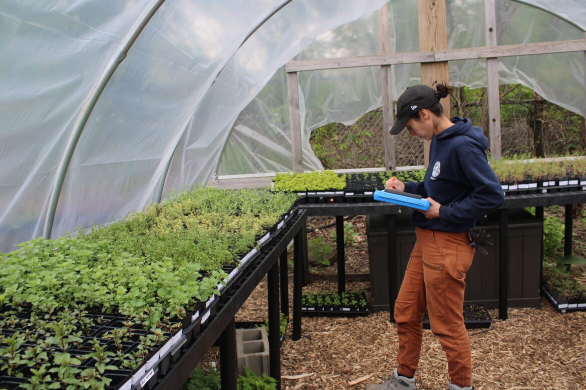 Kilbourn Park’s Plant Sale — ‘Black Friday’ For Gardeners — Is This Weekend
