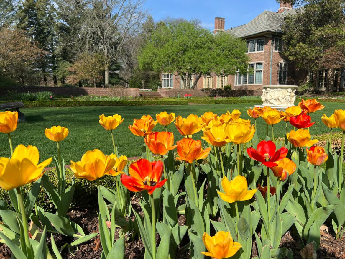 Gorgeous blooms, lush gardens flourish at 34-acre historic Michigan estate, now open to public Colorful gardens bloom at 34-acre historic Michigan estate, now open to public