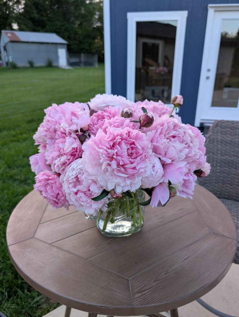 Just a few bouquets from my garden.