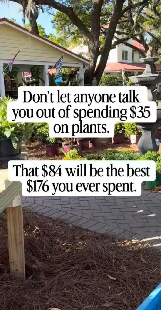 Just saw this meme for the first time today, so true…so true…