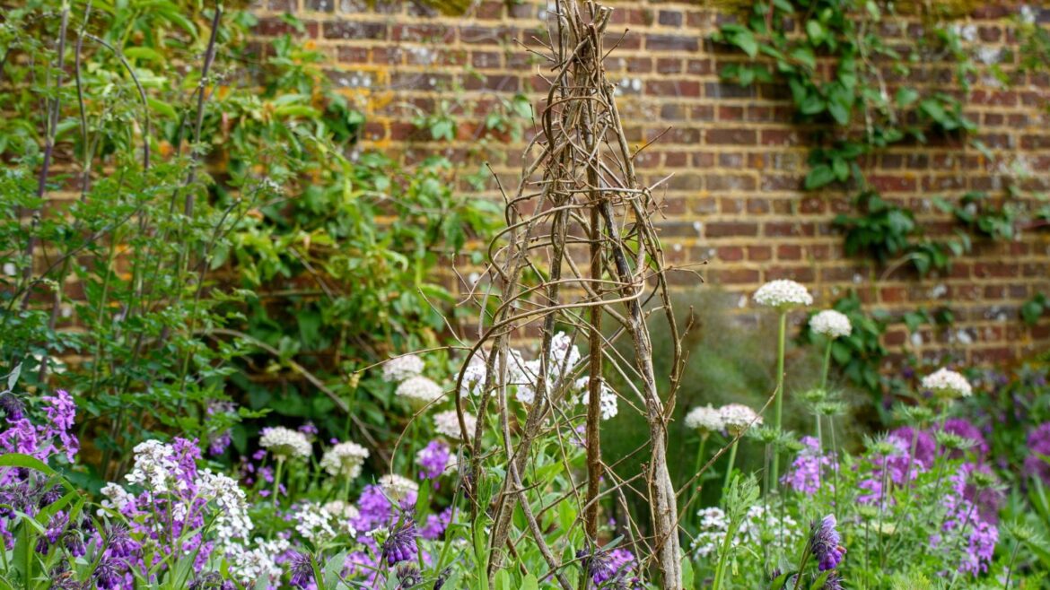 When to Support Perennials for Healthy, Flowering Plants A hazel wigwam plant support is in place for flowers in a flower bed