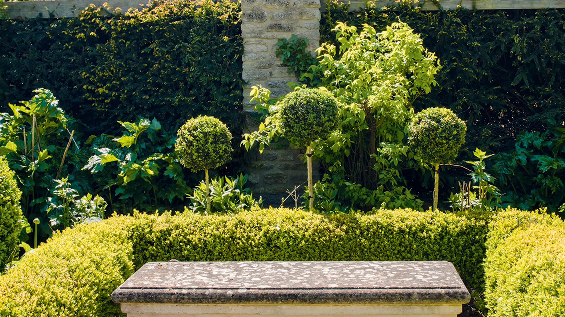 walled garden with topiary trees to add height to the borders