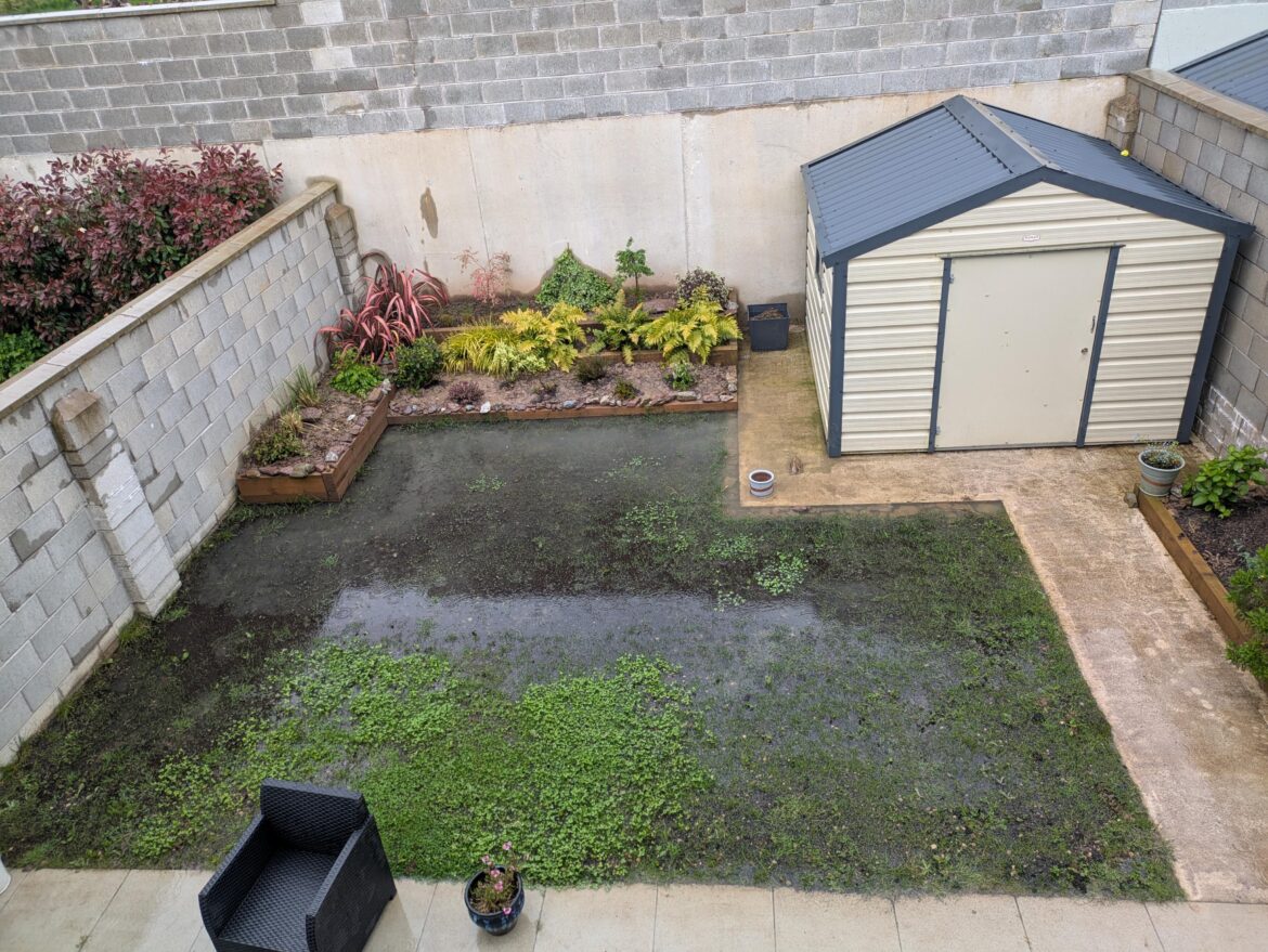 Should I reseed or is it too late now? Aerated and top-dressed my garden a week ago, and now the yellow rain warning has flooded it...