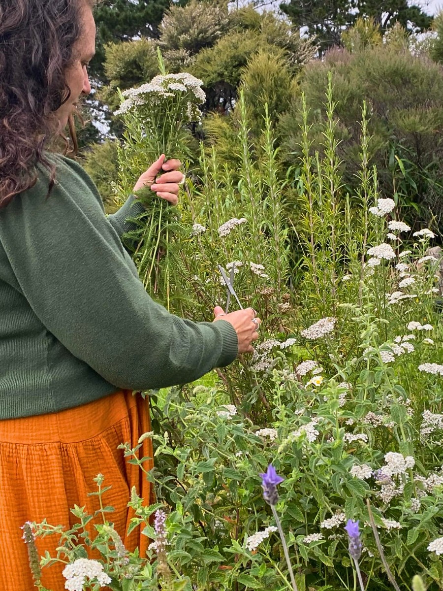 Which Flowers Give a Garden a Wild Look and Beautiful Soul?