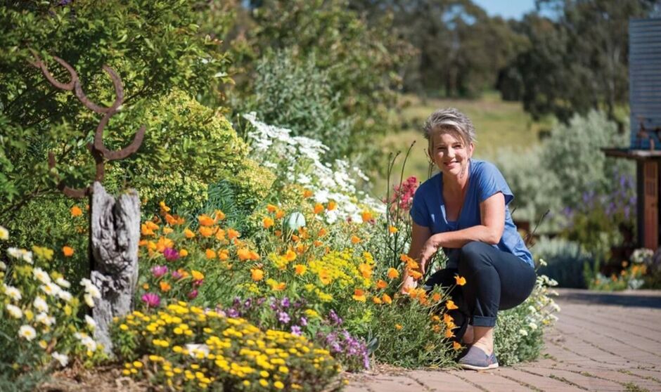 Gardening Australia with Cost Geordiadis pictured Gardening Australia with Cost Geordiadis pictured