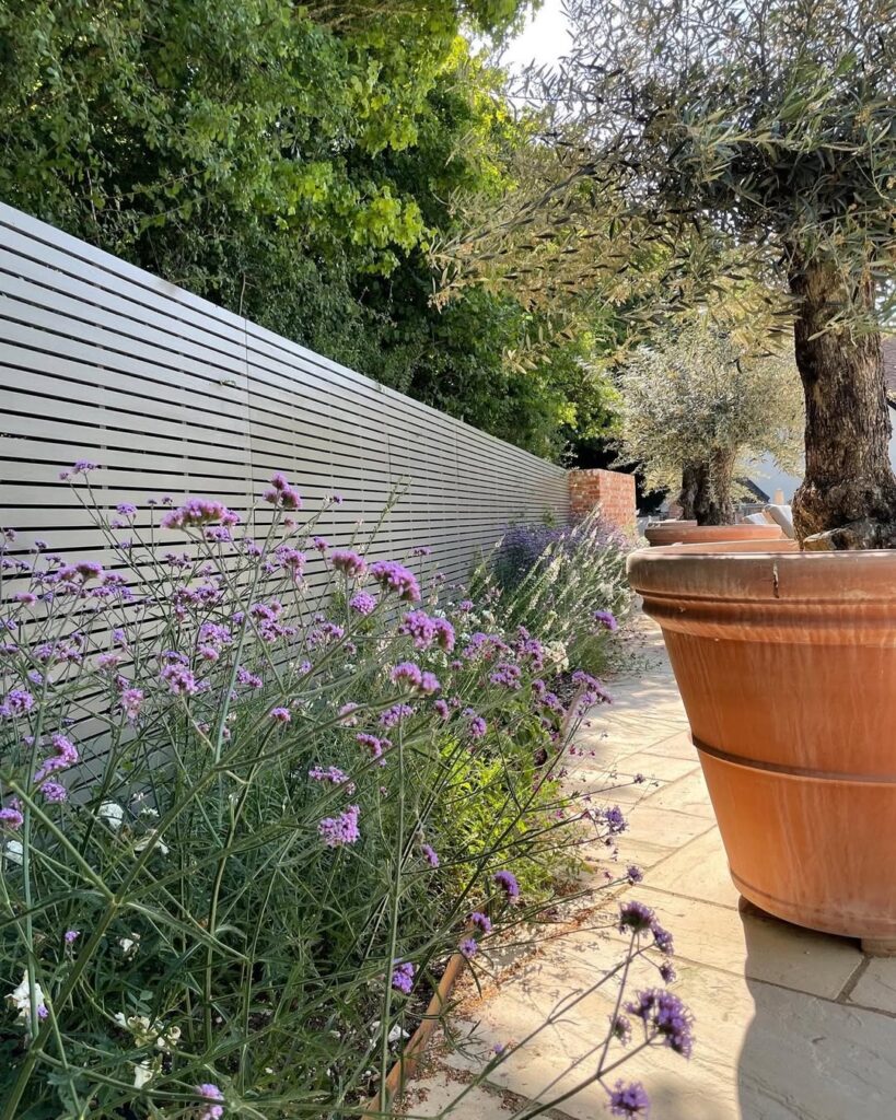 Pergola Dining Garden Pathway