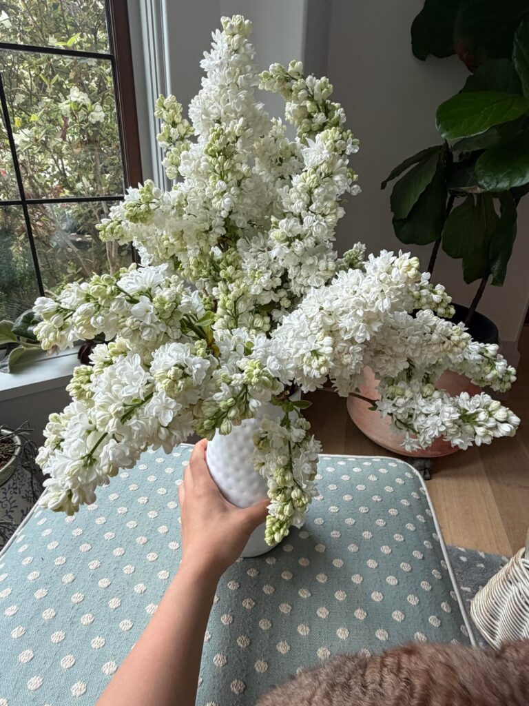 Lilac season is the best