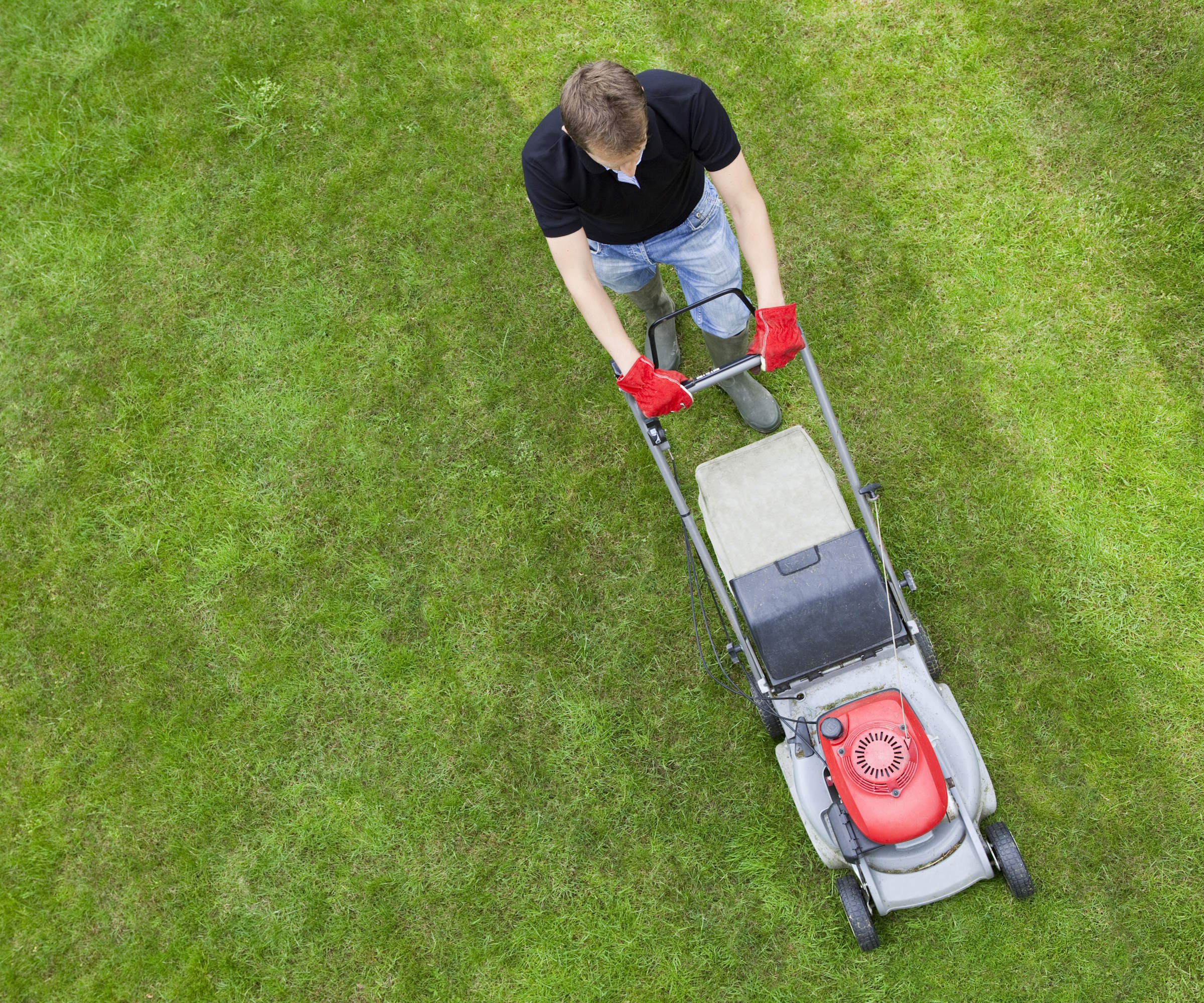 A gardener mowing stripes into a lawn with a lawn mower, viewed from above
