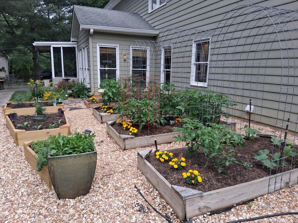 May 1st Garden