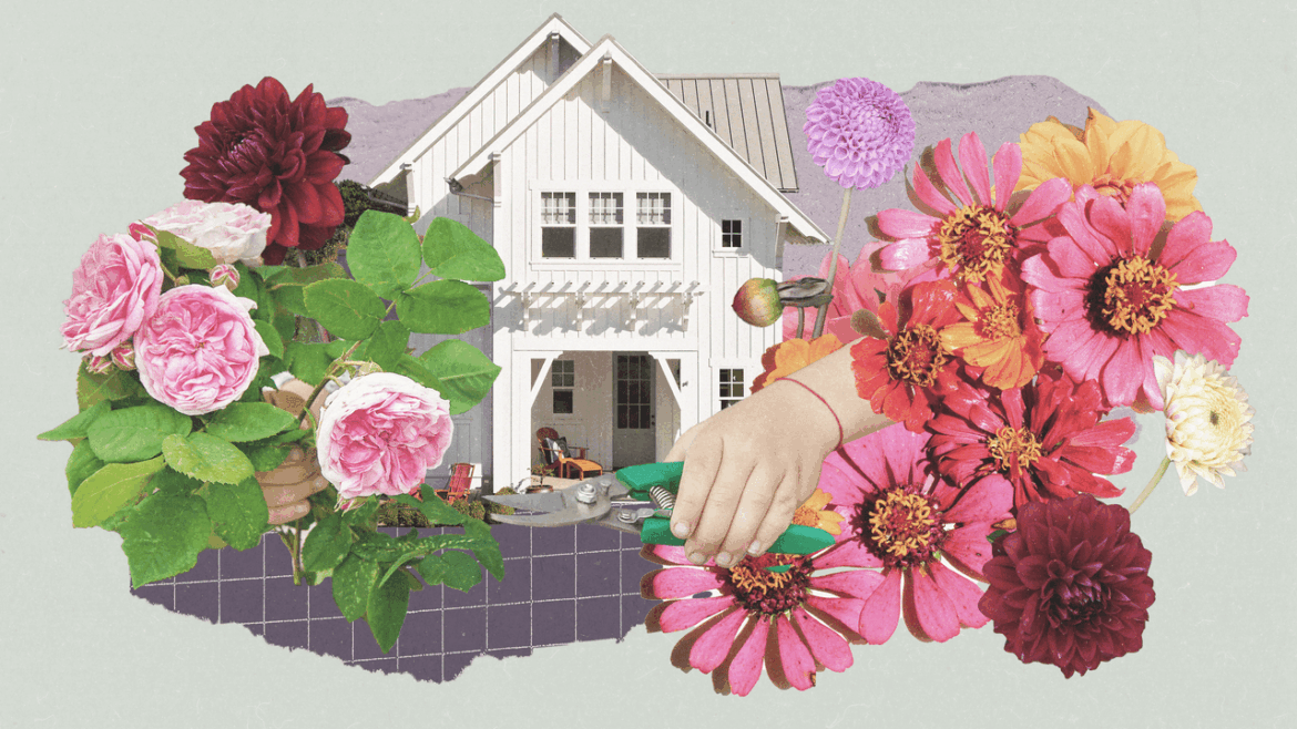 27 Summer Flowers to Add a Rainbow’s Worth of Color to Your Garden All Season Long 27 Summer Flowers to Add a Rainbow’s Worth of Color to Your Garden All Season Long