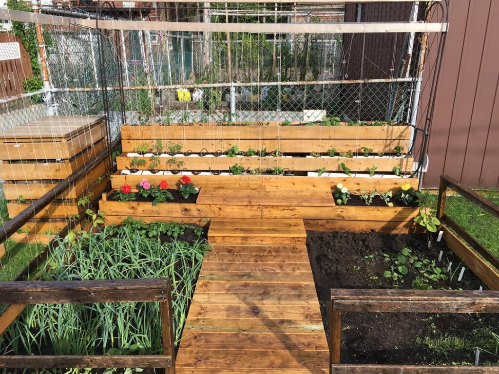 My Little Hybrid Urban Garden: Hydroponic and Conventional 12x12 ft
