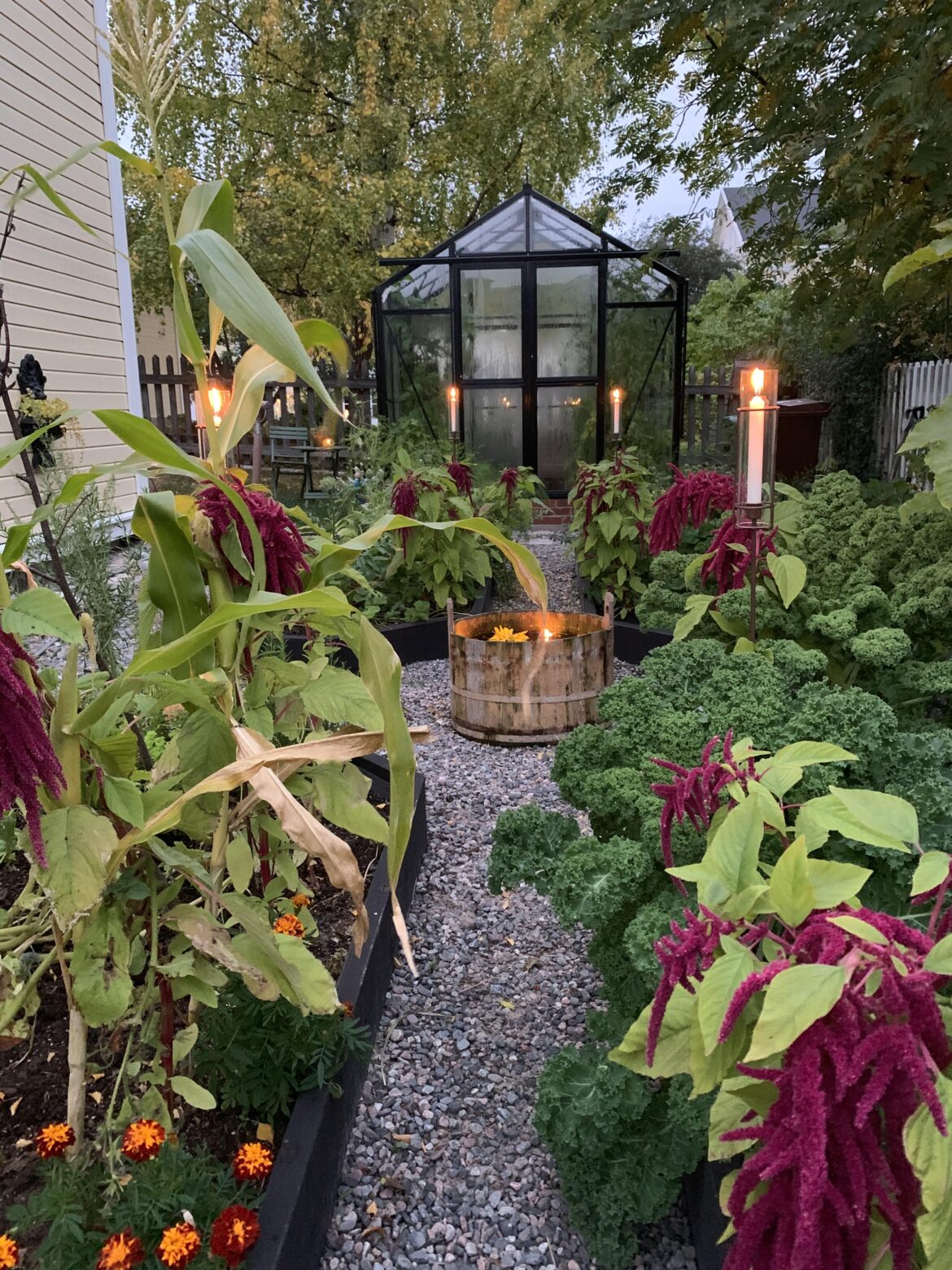 My kitchen garden- whats your favorites?