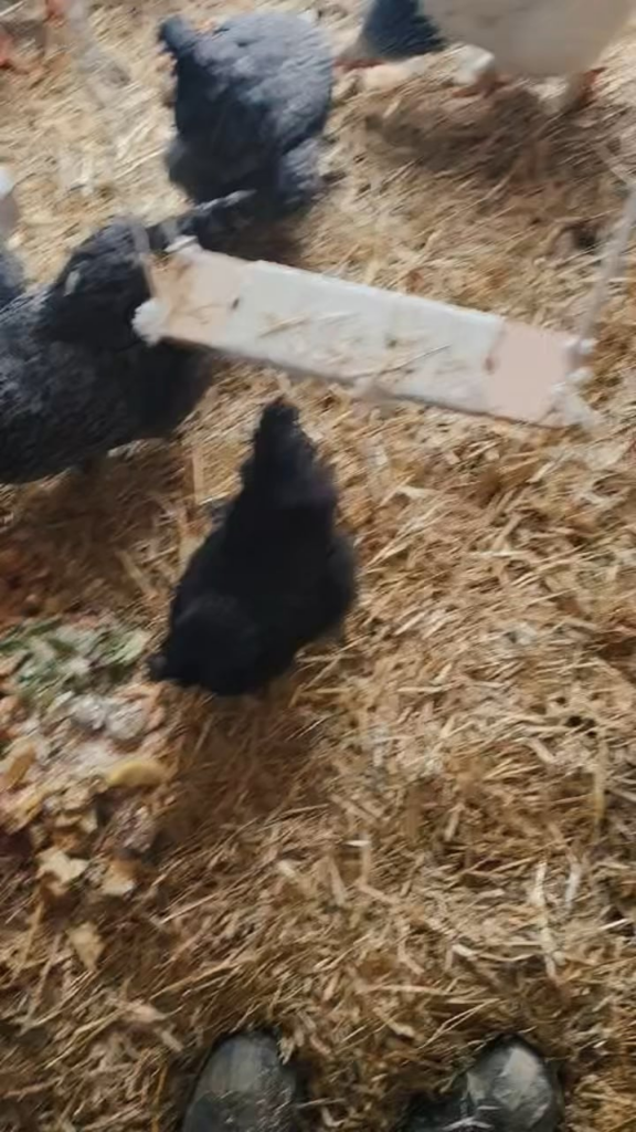 Upstate New York