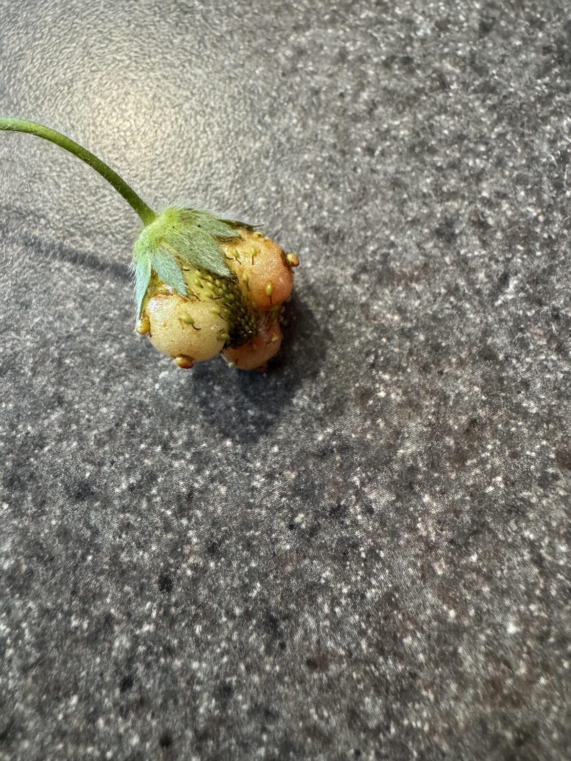 NSFW Strawberries
