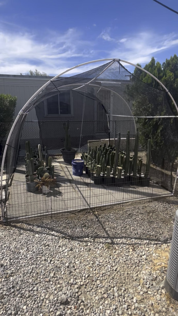 🌵nursery update🌵
