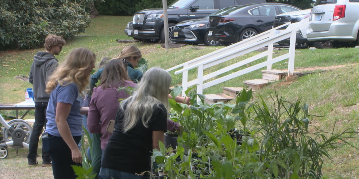 Piedmont Master Gardeners hold annual Highland plant swap Piedmont Master Gardeners hold annual Highland plant swap