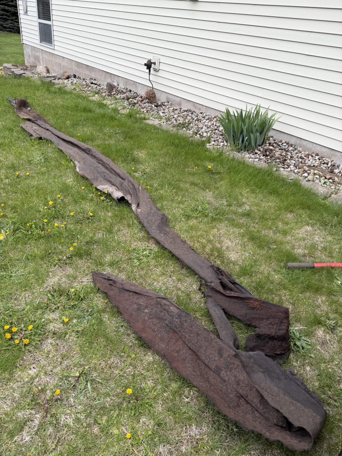 Out damned landscaping fabric!