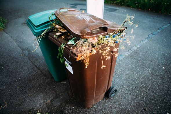 Overflowing brown bin Overflowing brown bin