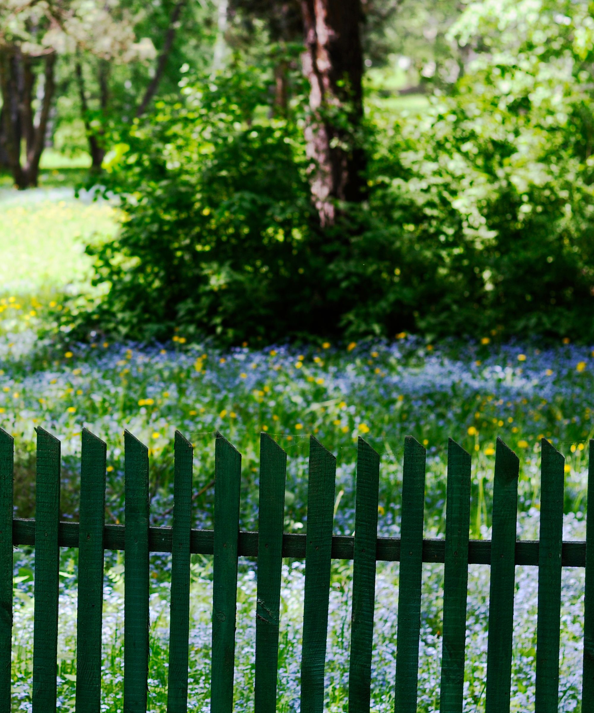 Dark green wood fence in front of wildflower meadow