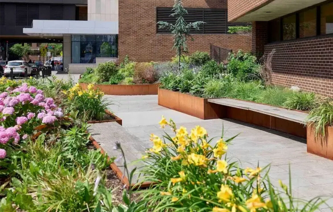 Pocket gardens: The tiny urban oases with surprisingly big benefits A pocket garden at Newark Beth Israel Medical Center in New Jersey.