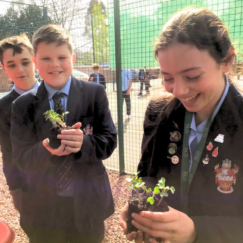 New Growth for RGS Gardening Club New Growth for RGS Gardening Club