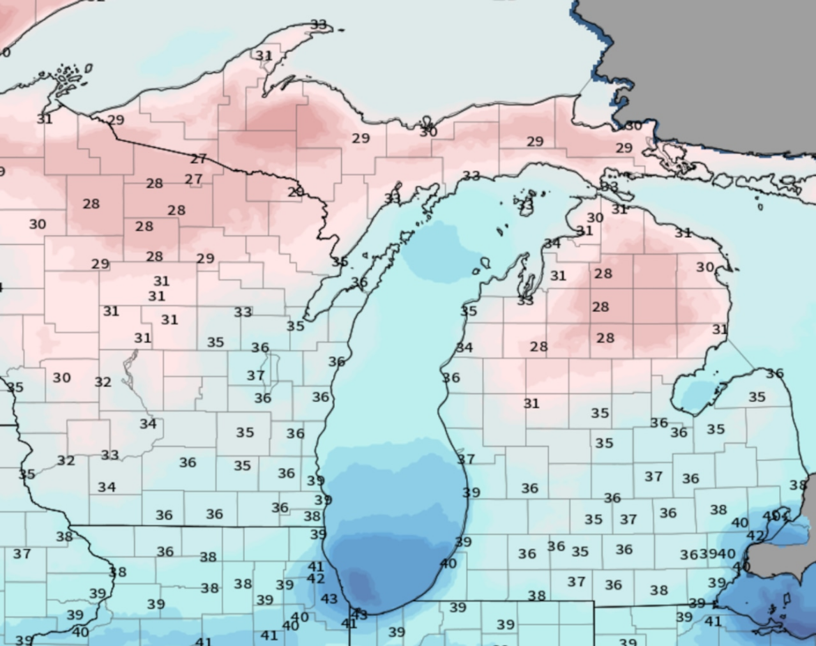 Garden Talk: Is it safe to plant full-speed now? Michigan gardeners beware