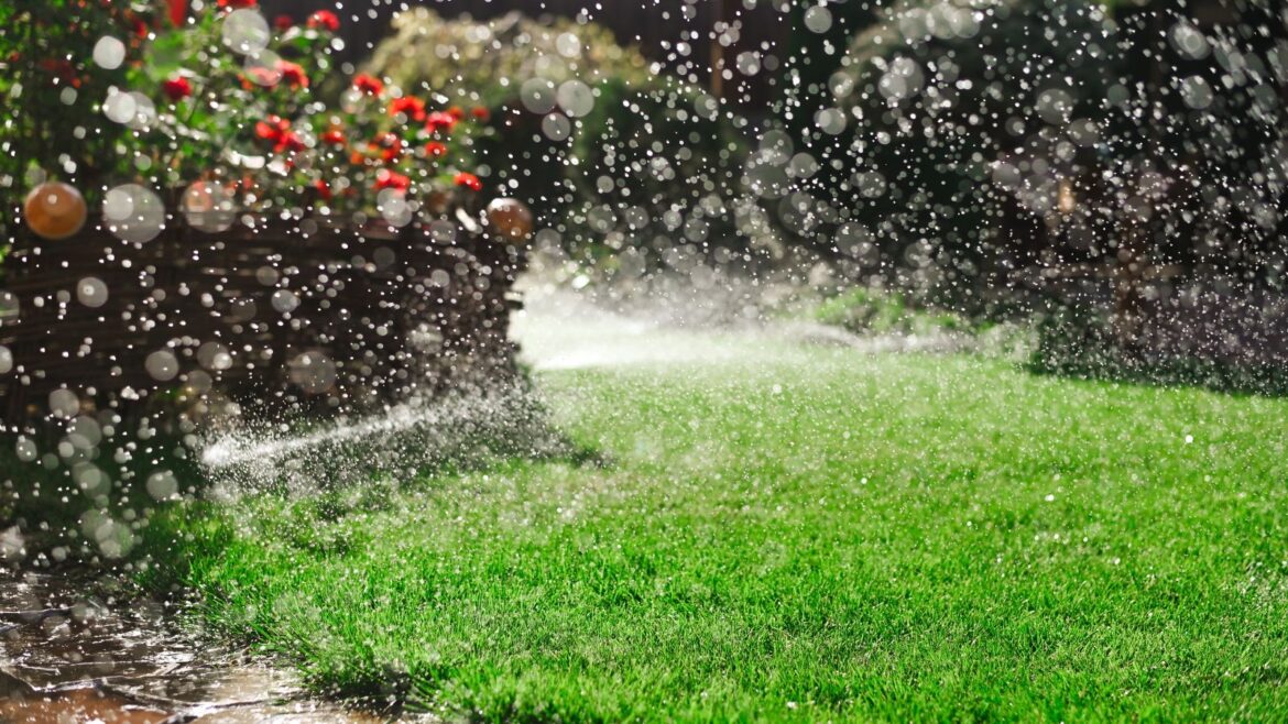 Experts Advise Why May Lawn Care Must Include Watering A lawn sprinkler watering the grass with red flowers in the background