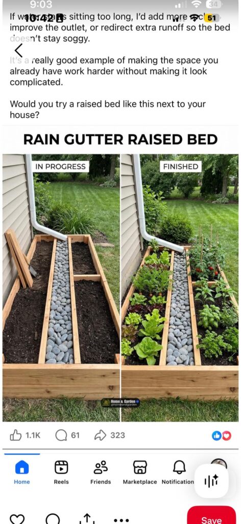 Rain gutter garden? Rain gutter garden?