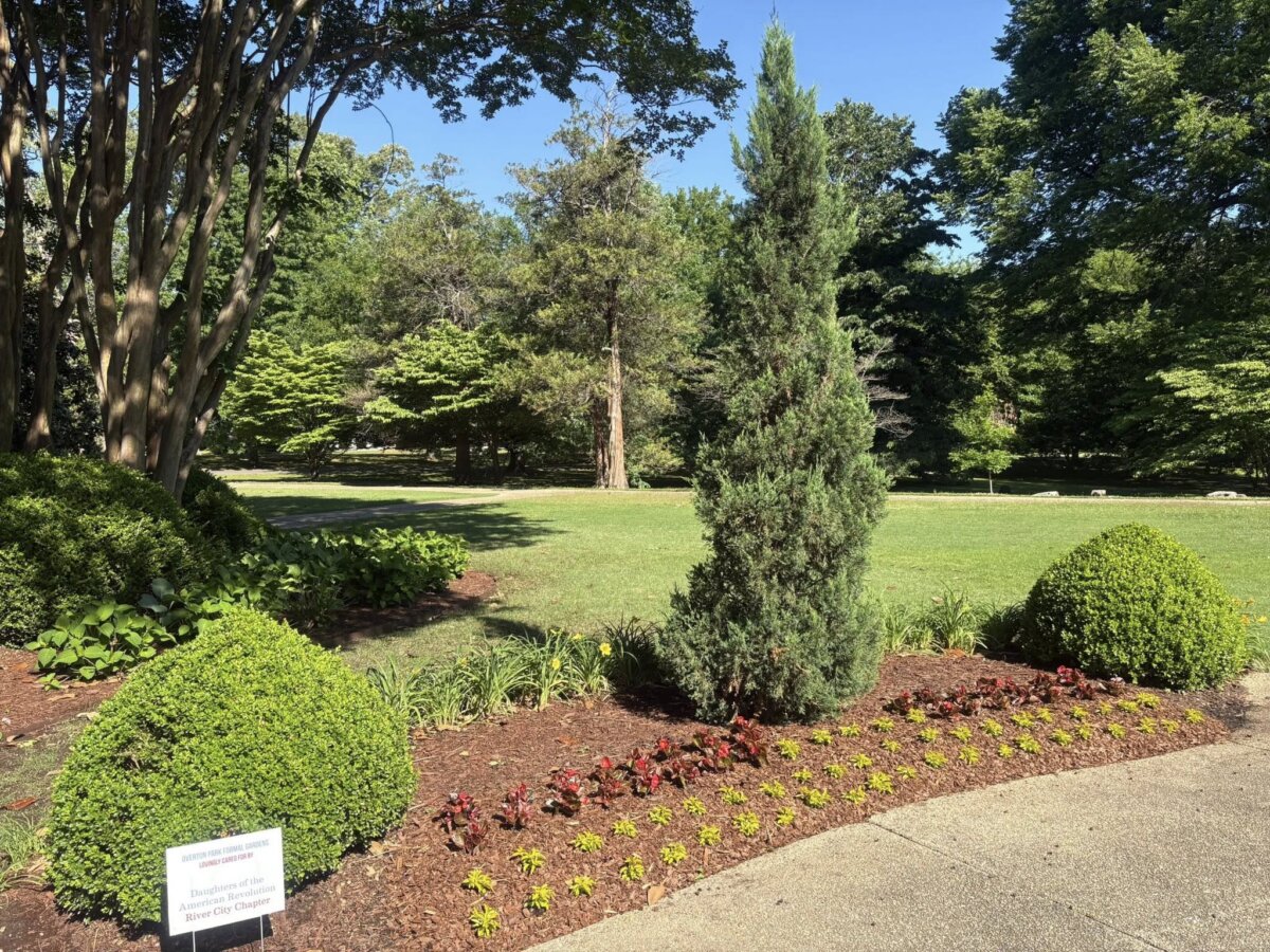 Meet the Memphis Gardener Who Sparked a Citywide Movement - 3 A landscaped garden with trimmed bushes, a small evergreen tree, flower beds. Trees and a grassy lawn stretch into the background under a clear sky.