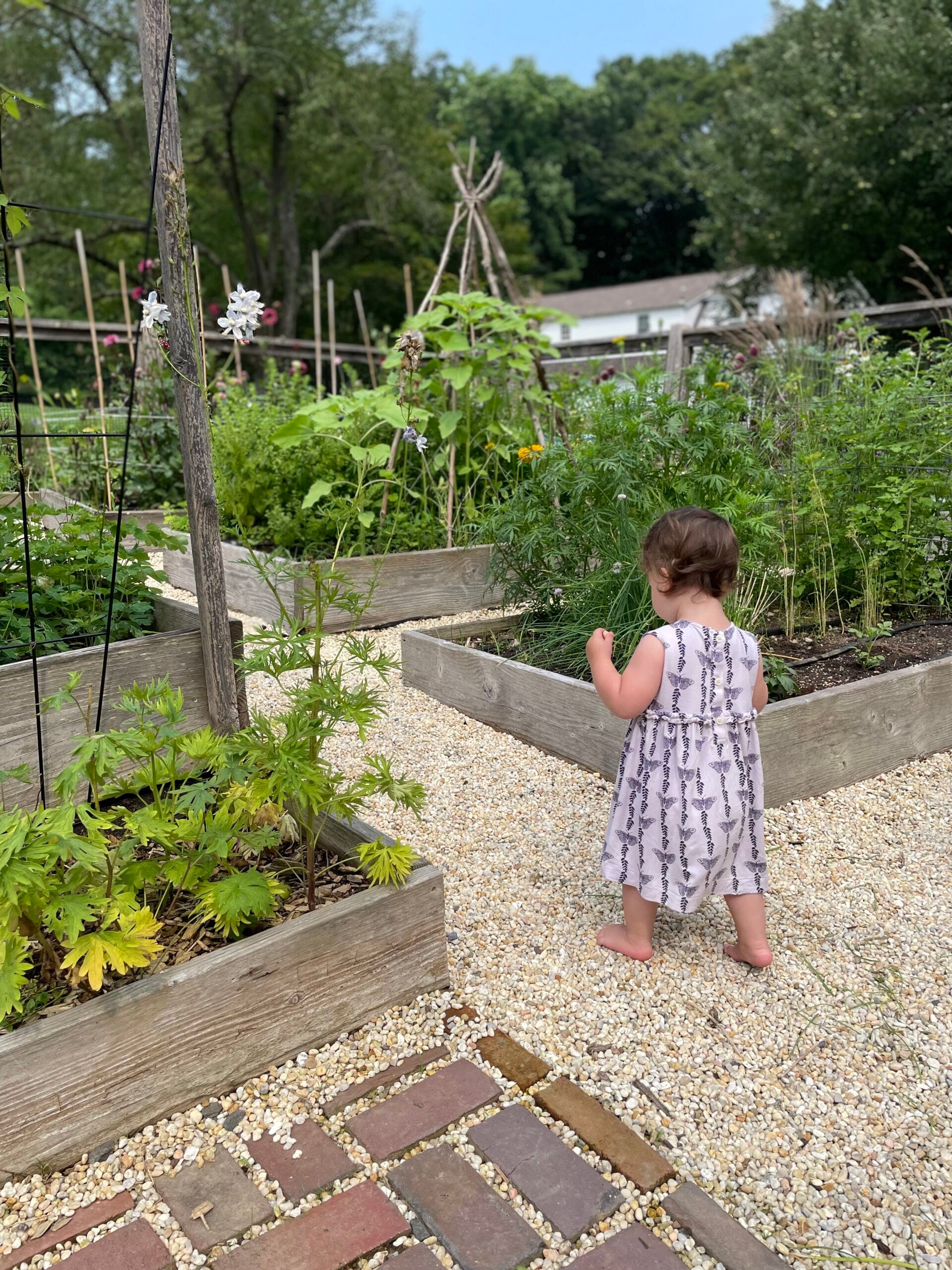 Cup of Jo reader gardens