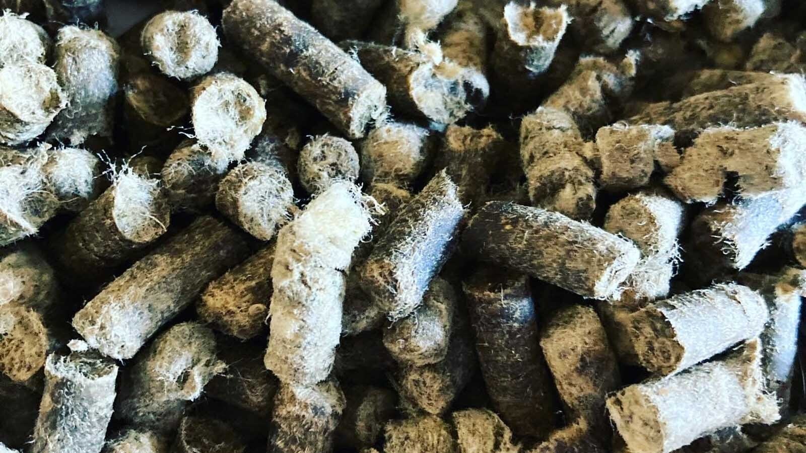 Waste wool has been made into pellets at a family ranch in Crowheart, Wyoming. These pellets are then used as a soil amendment that studies have shown slowly releases nutrients into the soil and helps retain up to 40% more moisture.