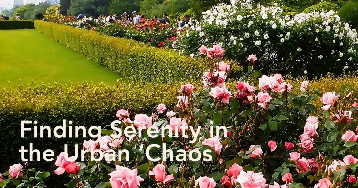 Shinjuku Gyoen Has Lessons on Slowing Down in Nature Within Bustling Cit… Japan’s Shinjuku Gyoen National Garden in Tokyo Offers Tranquility Amid the Hustle and Bustle of the City